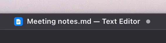 The Text Editor's title bar with the unsaved-changes dot.