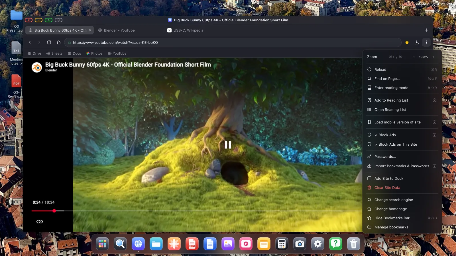 The browser options menu open over a playing YouTube video, showing Block Ads and Block Ads on This Site both ticked.